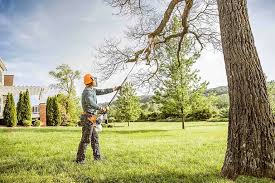 Best Hedge Trimming  in Chattahoochee, FL